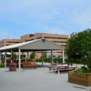An outdoor seating area with a pergola and benches surrounded by plants.