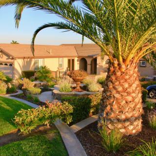 A suburban house with well-maintained landscaping and a prominent palm tree in the front yard.
