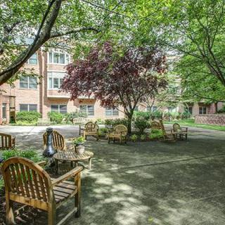A peaceful courtyard with benches shaded by trees.