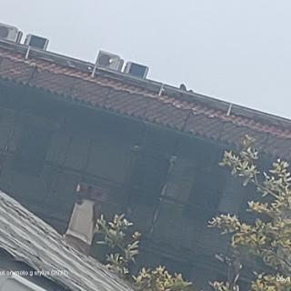A view of a building's roof featuring air conditioning units and surrounding trees.