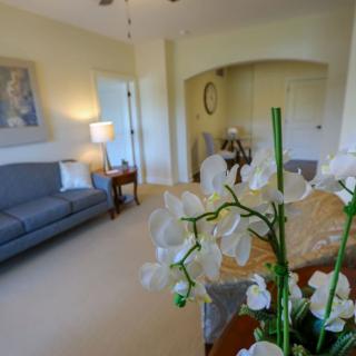A cozy living room with a sofa, a standing lamp, and an orchid on the table.