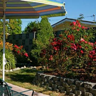 A sunny garden with vibrant red roses, a striped patio umbrella, and lush greenery.