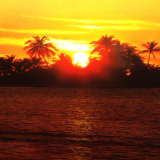An Oasis of Hope,  LLC