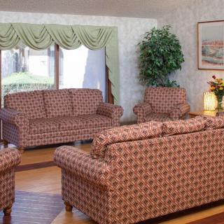 A cozy living room with patterned sofas and armchair, featuring a large window with curtains and a potted plant.