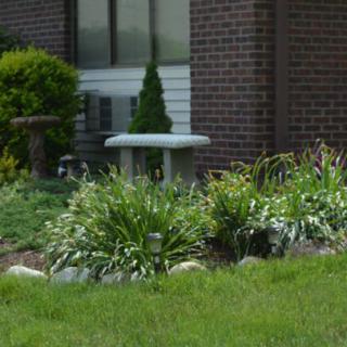 A well-maintained garden with a variety of plants and a small bench in front of a building.