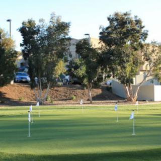 Vista Gardens