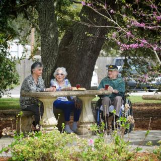 A group of elderly people enjoying a conversation at a stone table in a park setting.