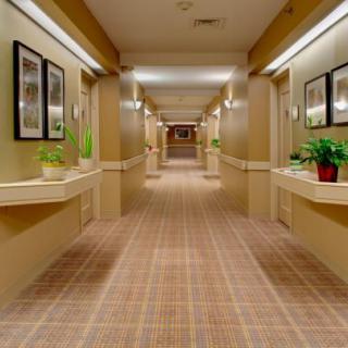 A well-lit hallway with carpeted flooring and decorative indoor plants along the sides.