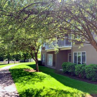 A sunlit apartment building surrounded by lush greenery and a pathway.
