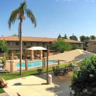 A sunny day at a resort with a pool and palm trees.