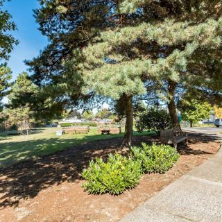 A peaceful park scene with trees, benches, and a sidewalk under a clear blue sky.