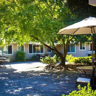A peaceful patio area with chairs and a large umbrella providing shade under leafy trees.