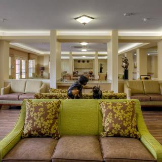A spacious hotel lobby with elegant seating and decorative elements.