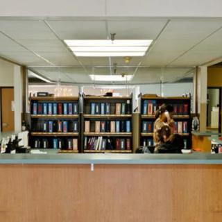 A view of a library reception area with bookshelves in the background.