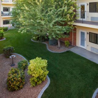 A well-maintained apartment complex with lush greenery and neatly trimmed bushes.