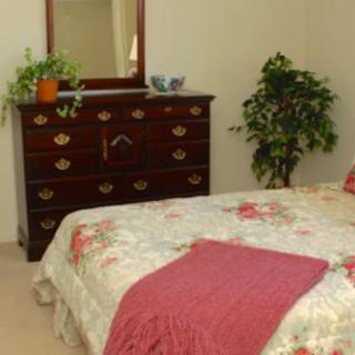 A cozy bedroom with a floral bedspread, featuring a wooden dresser, mirror, and potted plants.