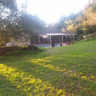 A serene house with a green yard and surrounding trees basking in sunlight.