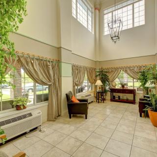 A spacious living room with abundant natural light, featuring large windows, elegant drapes, and lush green plants.
