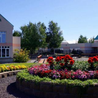 A vibrant garden with a variety of colorful flowers in full bloom, surrounded by trees and adjacent to a building on a sunny day.
