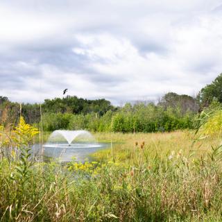 A serene pond with a fountain surrounded by wildflowers under a cloudy sky.