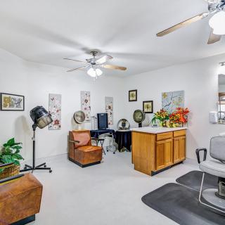 A cozy hair salon with multiple styling chairs, mirrors, and decorative plants.