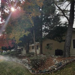 A serene autumn scene in a residential area, showcasing colorful leaves and sunlight filtering through the trees.