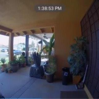 A sunny patio with various potted plants and outdoor decorations at 1:38 PM.