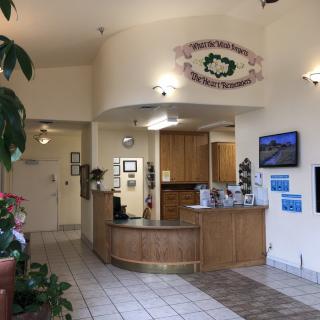 A welcoming reception area with a wooden desk, plants, and comfortable seating.