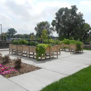 Raised garden beds in an urban outdoor setting.