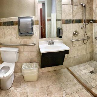 An accessible bathroom with a toilet, sink, and walk-in shower equipped with grab bars.