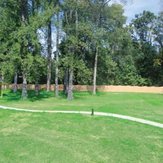 A grassy backyard with a pathway, surrounded by trees and a wooden fence.