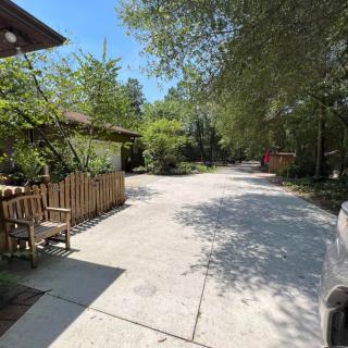 A sunny driveway lined with trees and a wooden chair outside a house.