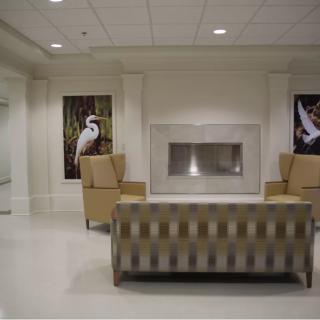 A modern lobby with armchairs, a sofa, and a fireplace, decorated with bird-themed artwork.