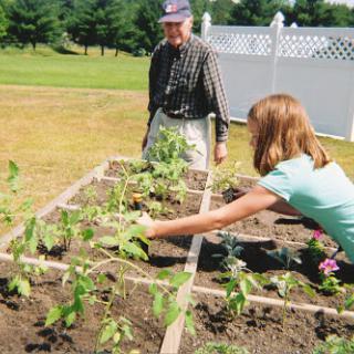 A child and an adult tending to a vegetable garden together, enjoying the process of planting and nurturing plants.