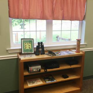 A small wooden bookshelf with books and binoculars in front of a window with pink curtains.