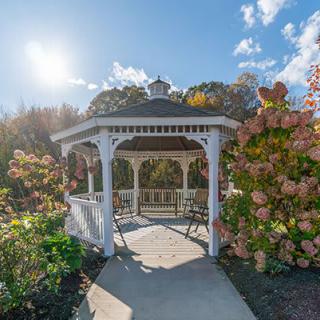A charming white gazebo surrounded by vibrant flowers on a sunny day.
