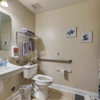 A clean and accessible bathroom with grab bars, a sink, and decorative elements.