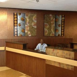 A person seated at a reception desk in an office interior with decorative artwork.