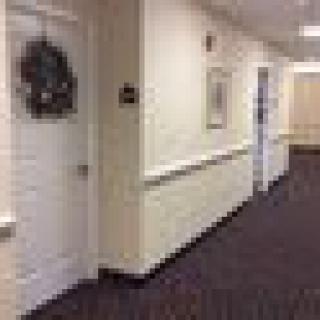 A carpeted hallway with decorated doors.