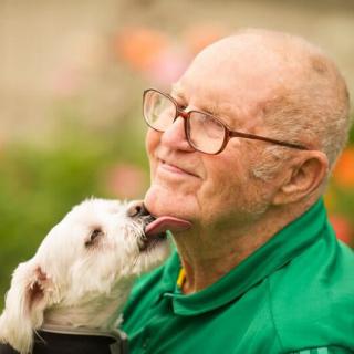 An elderly man smiles as his dog licks his chin in a display of affection.