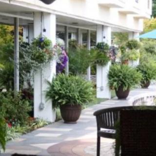 A serene outdoor patio area with lush plants and seating arrangements.