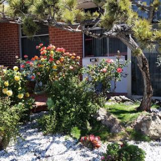A vibrant garden showcasing a variety of blooming flowers in front of a cozy home.