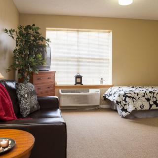 A cozy living space with a sofa and bed, featuring modern decor and a large window.