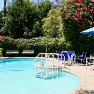 A tranquil outdoor swimming pool surrounded by lush greenery, featuring seating and a sun umbrella.