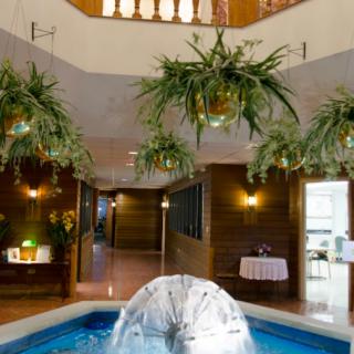 An elegant indoor setting featuring a central fountain surrounded by hanging plants and warm lighting.