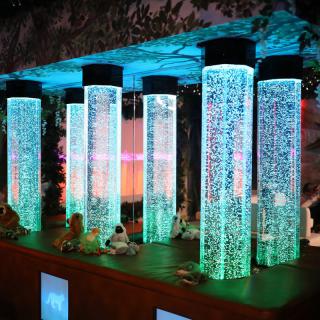 A series of illuminated bubble tubes in a sensory room, creating a calming and colorful atmosphere.