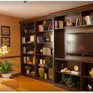 A cozy living room featuring bookshelves, a television, and decorative elements.