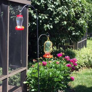 A garden with bird feeders and blooming flowers.