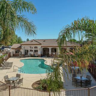 A residential backyard featuring a swimming pool surrounded by palm trees and patio furniture on a sunny day.