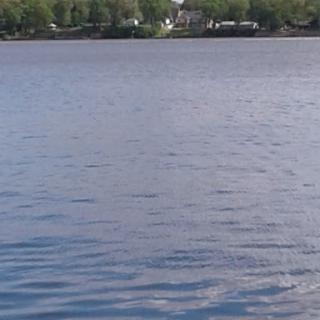 A serene view of a lake surrounded by green trees and a clear sky.